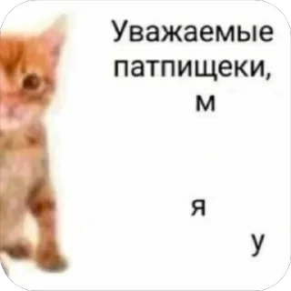 Стикер ШКИПЕР СХАВАЛ ВСЕ ШПРОТЫ - 11