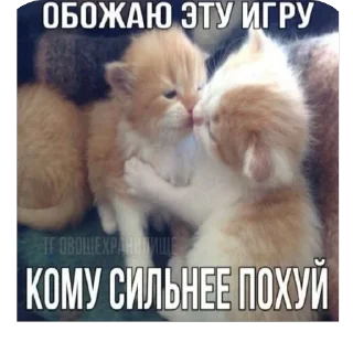 Стикер ШКИПЕР СХАВАЛ ВСЕ ШПРОТЫ - 1