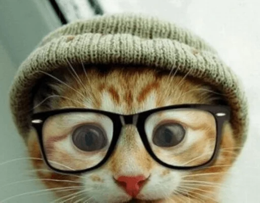 мех млекопитающее кошки малого и среднего размера