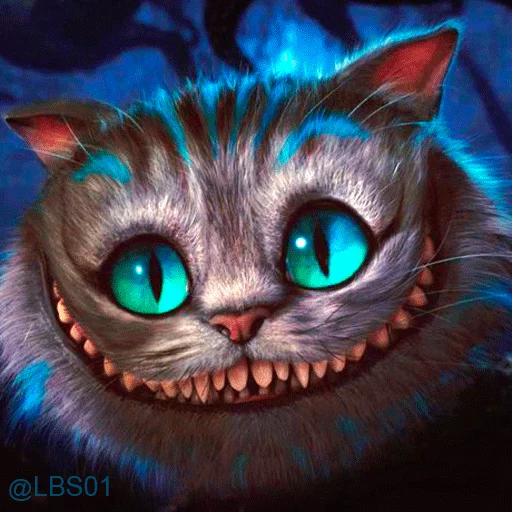 animal cat domestic cat