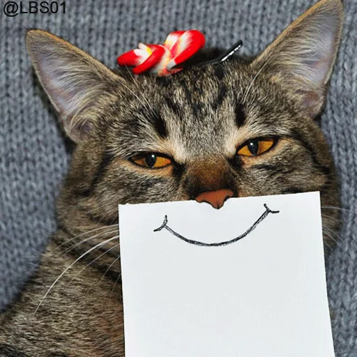 small to medium-sized cats whiskers felidae