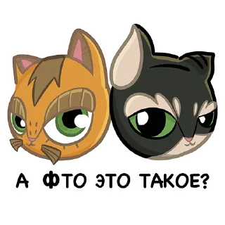 Sticker Коты казанские Алабрыс и Мырау батыр от @milliardtatar - 7
