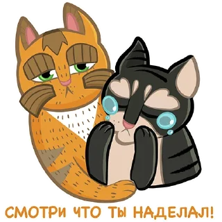 Sticker Коты казанские Алабрыс и Мырау батыр от @milliardtatar - 1