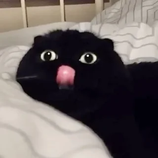 Стикер Cats (@t_stickers) - 8