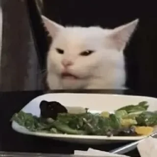 Стикер Cats (@t_stickers) - 0