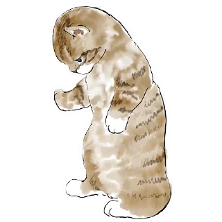 Стикер Кошачий чат 2 @Nyasticks - 5