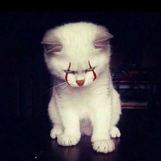 Стикер Cats_f071_by_offstikbot - 1