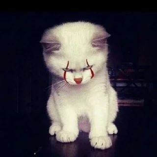 Sticker Cats by @offstikbot - 7