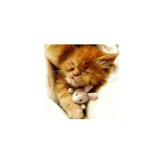 Sticker Cats from @Sosha_kitten1357 - 1