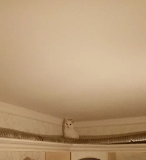 indoor plaster molding