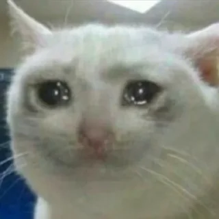 Sticker Коты. ||| @NiksssChannel - 8