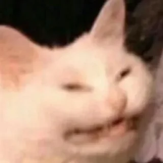 Sticker Коты. ||| @NiksssChannel - 7