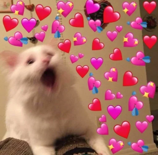 Sticker Catsfromloveinpic - 1