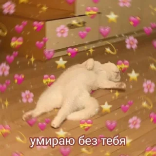 Sticker лучшие пикчи —-> @loveinpic - 5