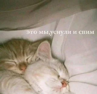 Sticker лучшие пикчи —-> @loveinpic - 3