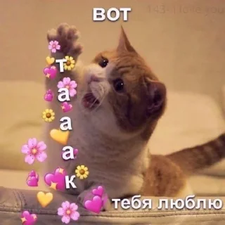 Sticker лучшие пикчи —-> @loveinpic - 6