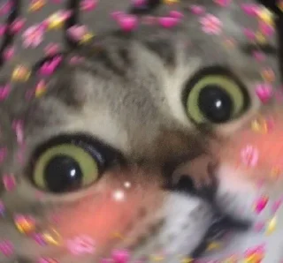 Sticker лучшие пикчи —-> @loveinpic - 11