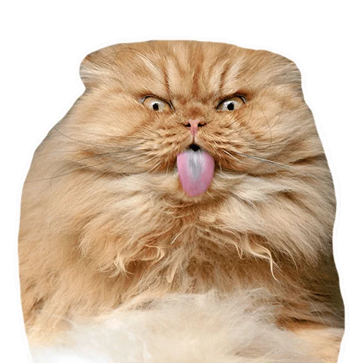 Sticker cats - 10