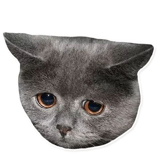 Sticker cats - 1