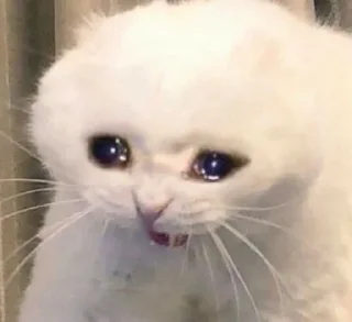 Sticker Cats mood - 7