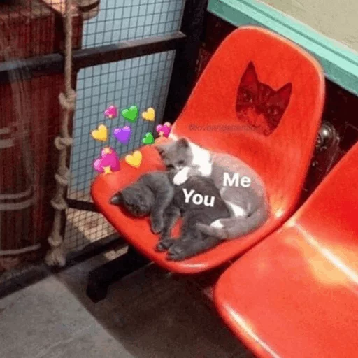 стул комнатный этаж