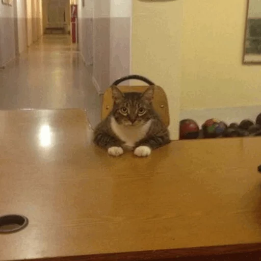 комнатный стена этаж