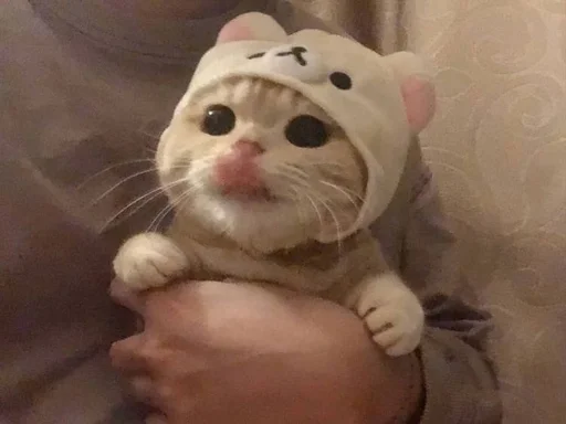 комнатный игрушка Человек