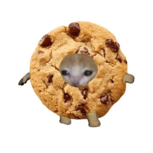 пища закуска печенье