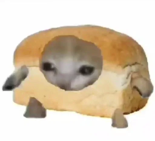 собака животное