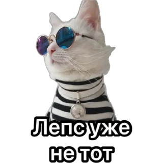 Стикер Котики для ТГ - 3