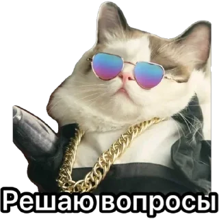 Стикер Котики для ТГ - 9