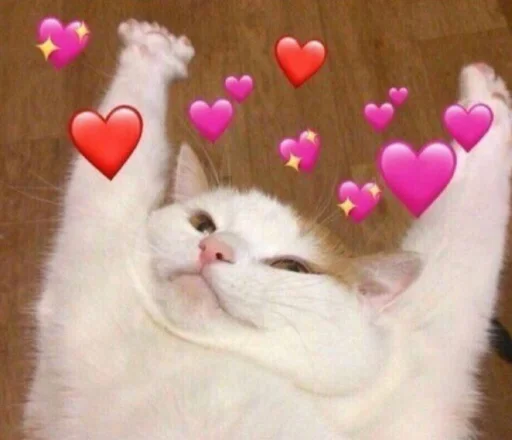 Стикер Catswagtalk - 1