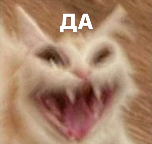 Sticker Catswagtalk - 1