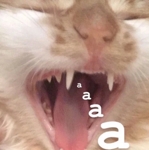 Sticker Catswagtalk - 1