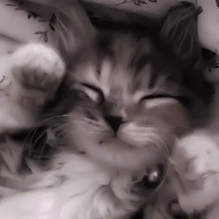 Sticker ✧۪ κ᧐ᴛᥙκᥙ ʾʿ ୨୨ @cont3nt0t_vaflii - 8