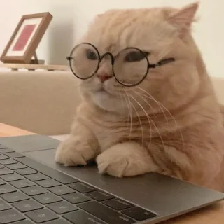 Sticker ✧۪ κ᧐ᴛᥙκᥙ ʾʿ ୨୨ @cont3nt0t_vaflii - 5