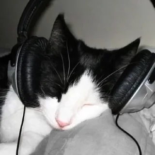 Sticker ✧۪ κ᧐ᴛᥙκᥙ ʾʿ ୨୨ @cont3nt0t_vaflii - 10