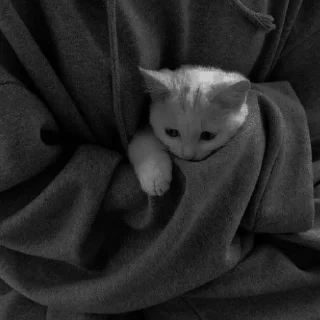 Sticker ✧۪ κ᧐ᴛᥙκᥙ ʾʿ ୨୨ @cont3nt0t_vaflii - 1