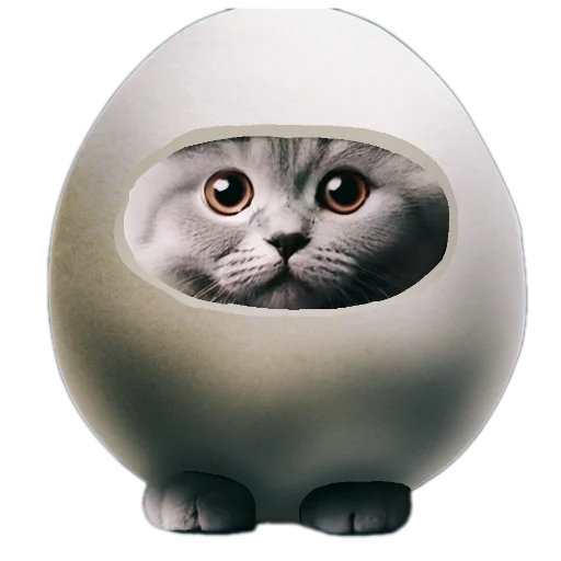 Sticker Catv_by_TgEmodziBot - 1