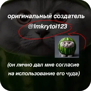 Стикер Кот в @serwrf @bad_guitarr - 7