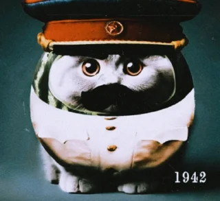 Стикер Кот в @serwrf @bad_guitarr - 2