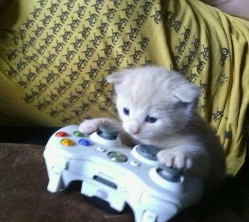 Стикер cats^3 - 6