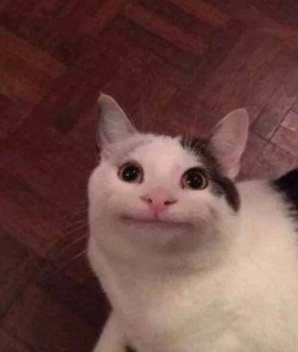 Стикер cats^3 - 5