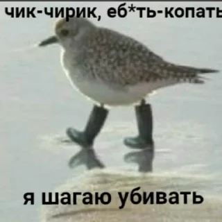 Sticker Лох идишн - 11