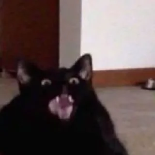 Sticker Cat cute ➪ @wiiwwwiiw - 6