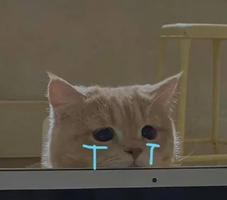 Sticker Cat cute ➪ @wiiwwwiiw - 11