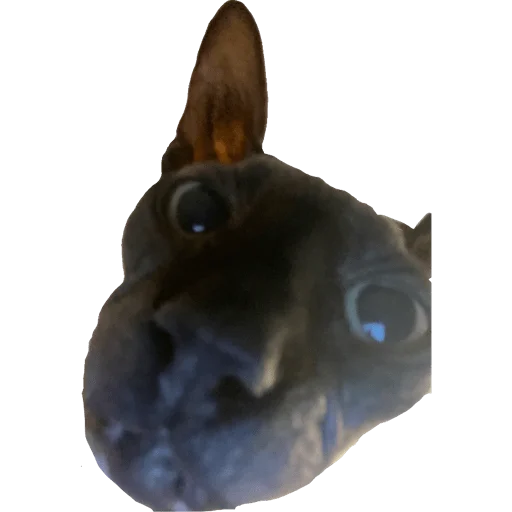 Sticker Chistiankii - 2