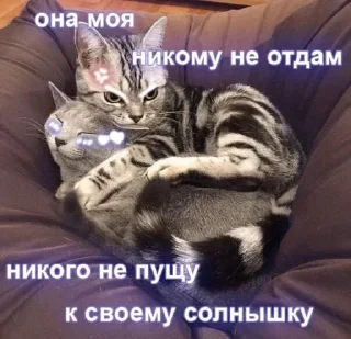 Sticker Больше стикеров 👉🏼 @stickers_gifs0 - 2