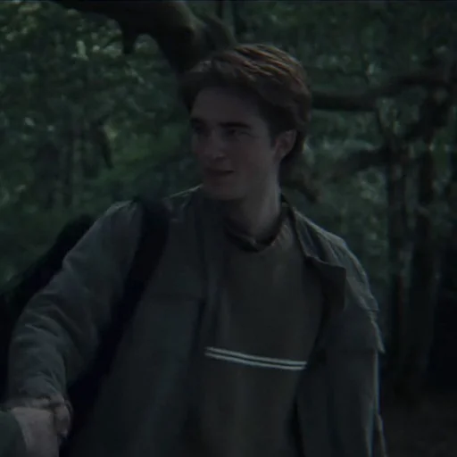 Sticker CedricdiggoryStickerpack - 1