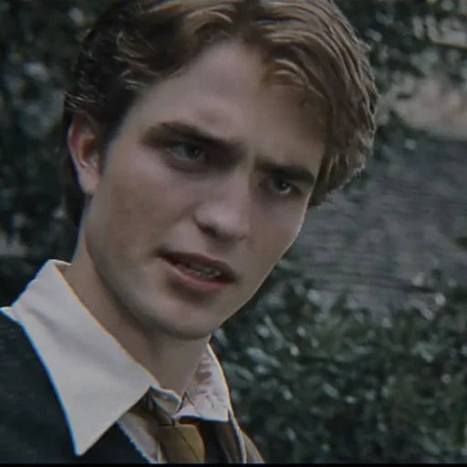 Стикер CedricdiggoryStickerpack - 1